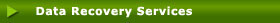 Data recovery services