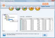 Digital Camera Data Recovery Software Screenshot
