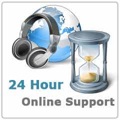 24 Hour Online Support