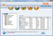 Removable Media Data Recovery Software Screenshot